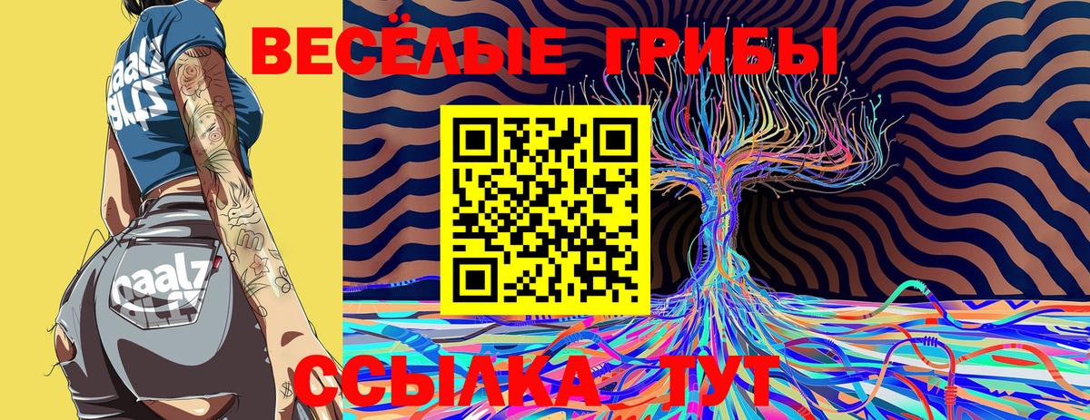 Биробиджан  Псилоцибиновые грибы Magic Shrooms  Вход с VPN  где можно купить   Псилоцибиновые грибы GOLDEN TEACHER 